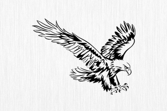 Eagle SVG, Flying Bald Eagle SVG: A Versatile Digital Asset for Designers and Creators